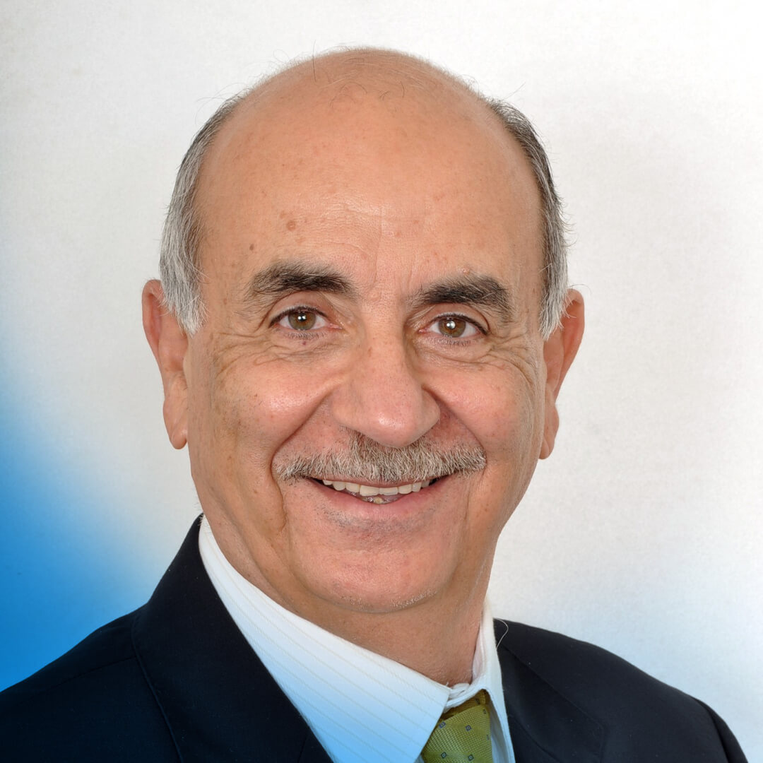 Al alfi